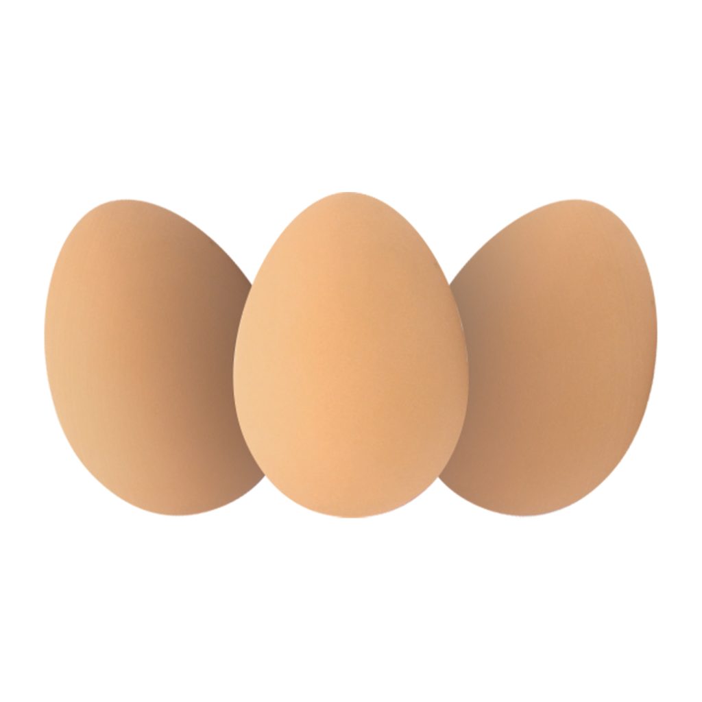 Bouncy Egg Toy