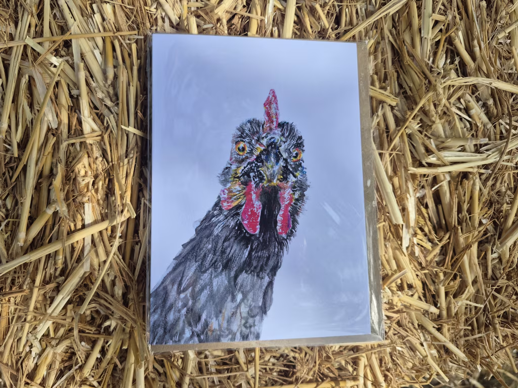 Home Farm Blank Greetings Card - Chicken